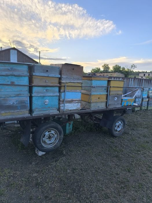 Прицеп пчеловодческий
