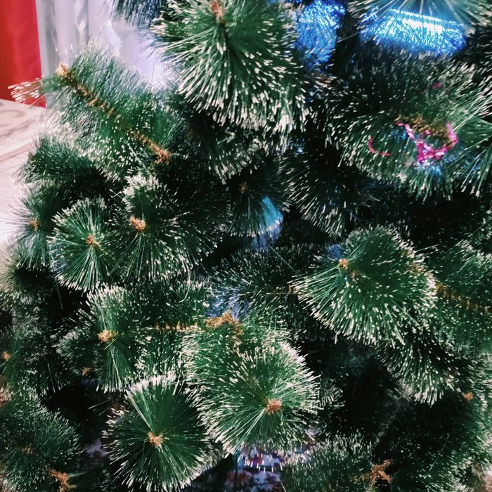 Ёлочка пушистая.