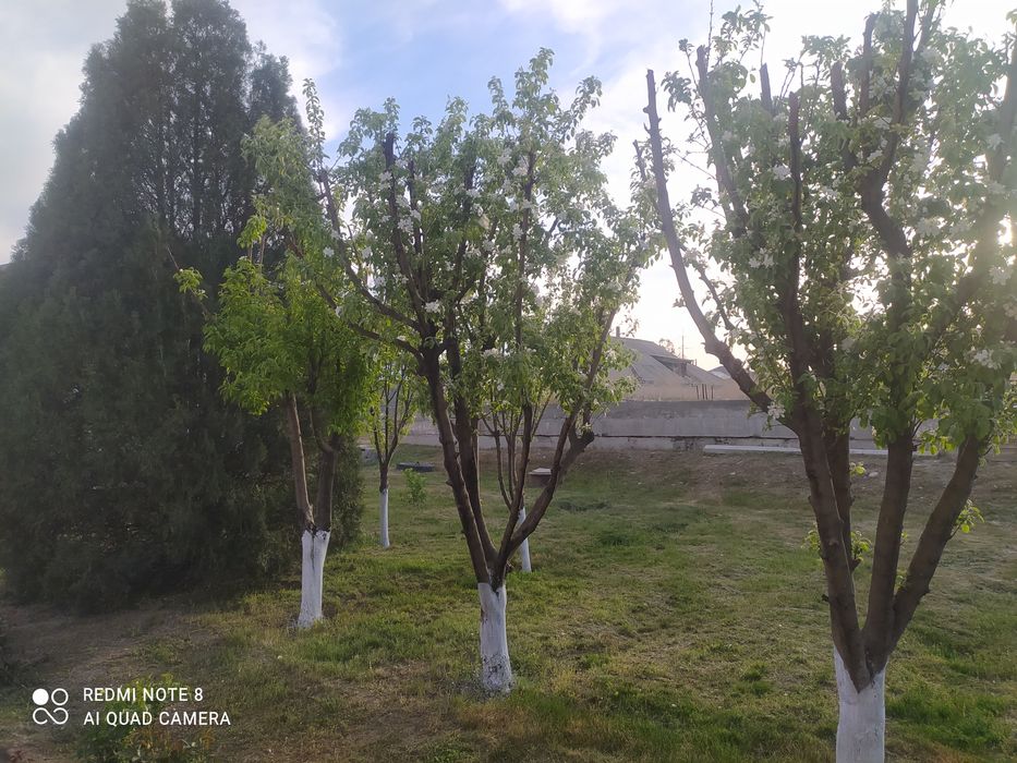 Дом расположен по Толе би