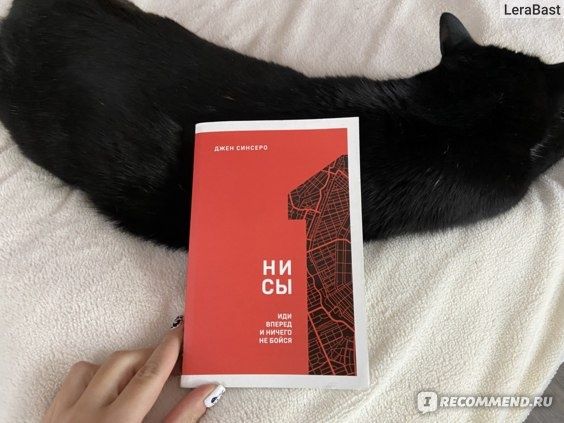 Книга Ни Сы Джен Синсеро