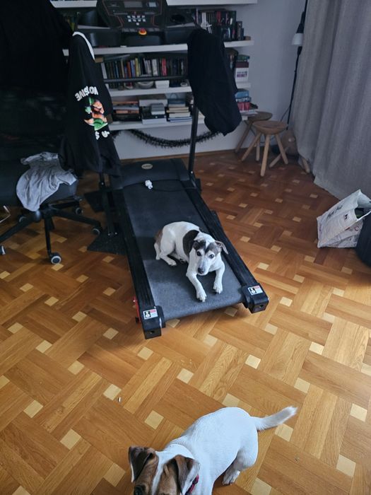 Banda alergat electrica ACTUELL