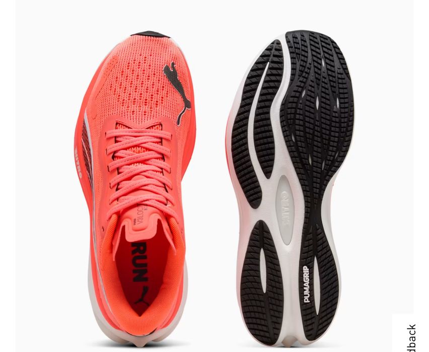 Puma murskoy jenskiy bor