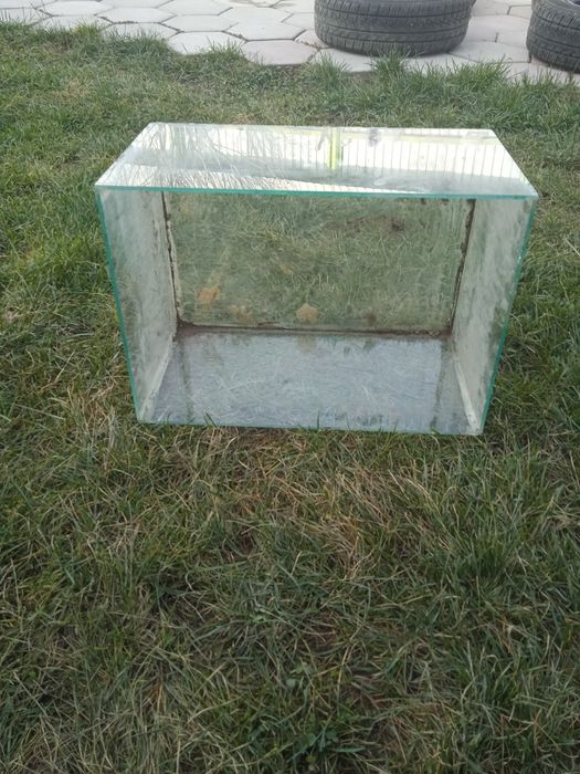 Аквариум аквариум