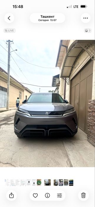 BYD, Yang Up 2024