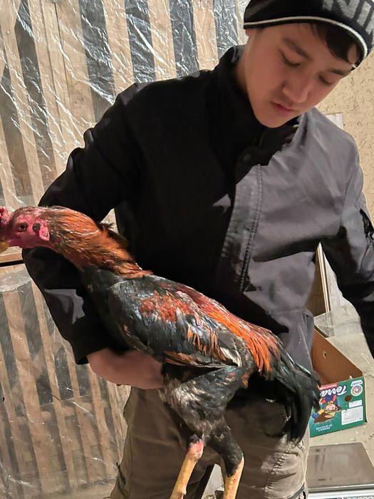 Дакан шоже майски 35.000