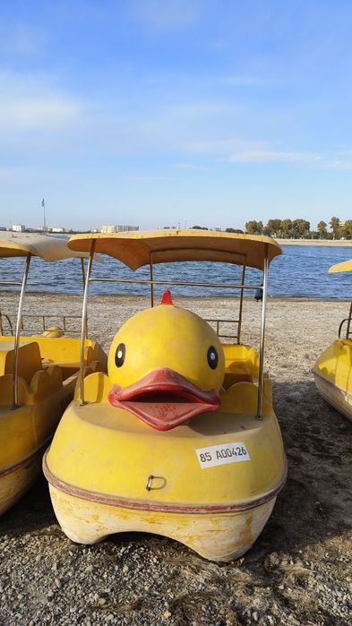 Катамаран сотилади бизнес учун