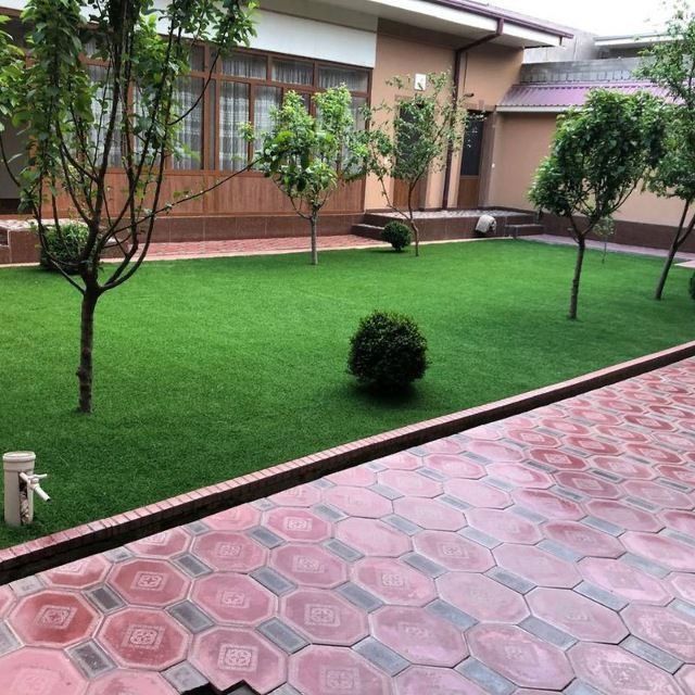 Газон ва чим газон девор