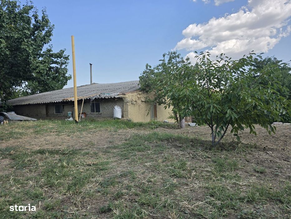 Casă + teren 1.400 mp | Cerna, Tulcea | Aproape de Munții Măcinului