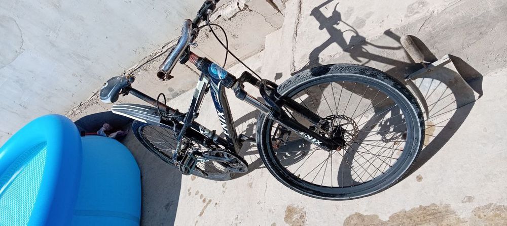 Yurishi yaxshi kelishtirib beramiz oladigan odam telefon qiling