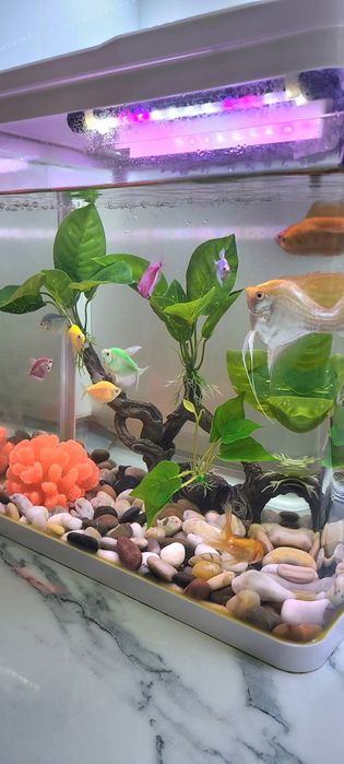 Аквариум обьем 30л