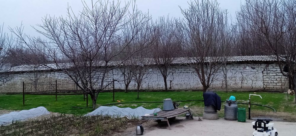 Уй сотилади холати яхши