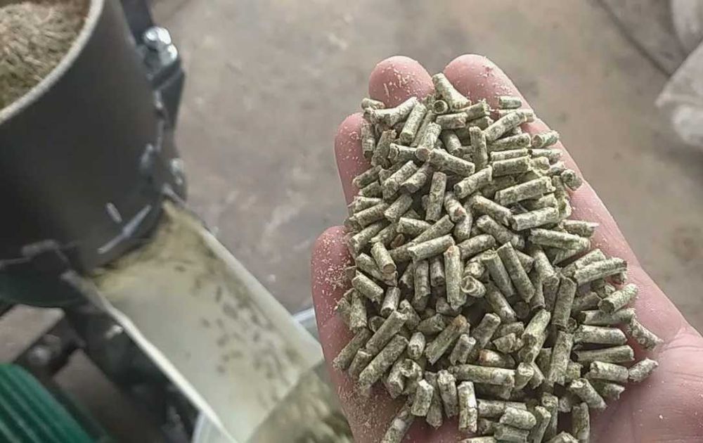 Грануляторы 80–1000 кг/ч в наличии