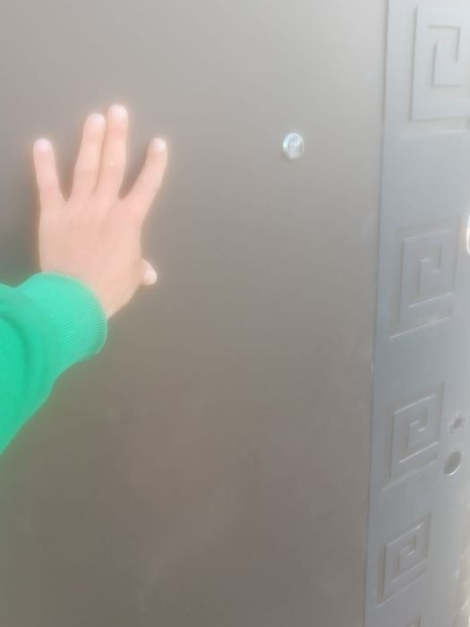 Железная дверь ...