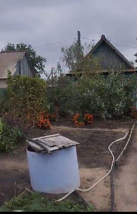 Продам срочно дачю в обществе мотор