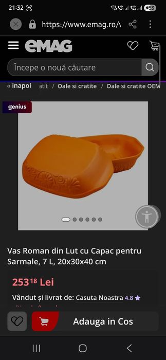 Vas roman din lut