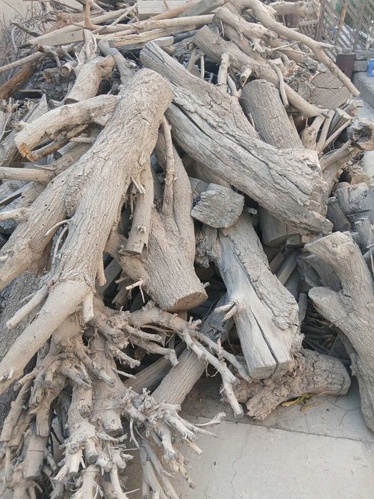 Утин , хезум , тароша