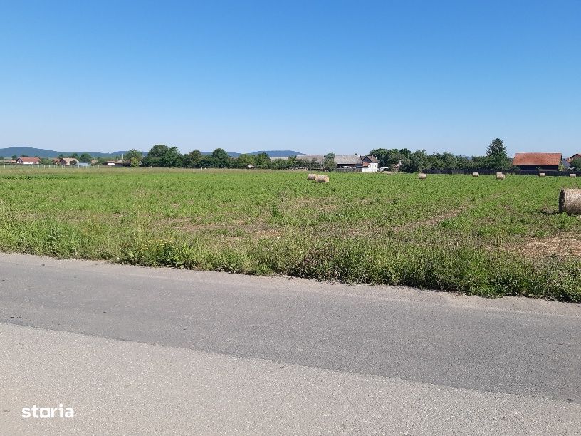 Teren intravilan construibil utilitati asfalt central Lunca Calnicului