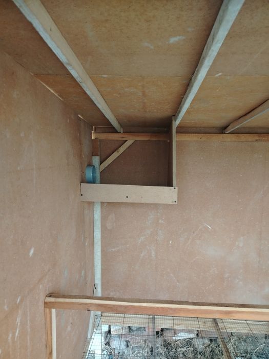 Kakat. Tovuqlar uchun