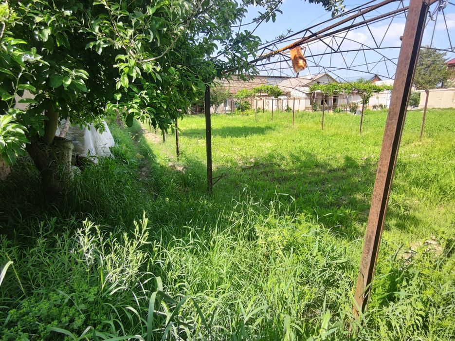 Yer sotiladi. Chortut. Koʻchani usti.