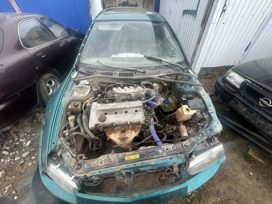 Актобе кок разбор