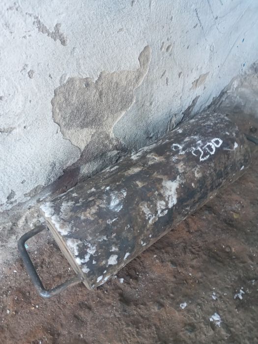 Кругляк днловой .