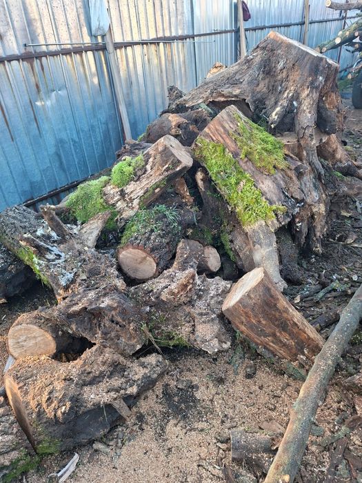 Vand lemne:salcam, stejar si nuc uscat!Cioate sparte!