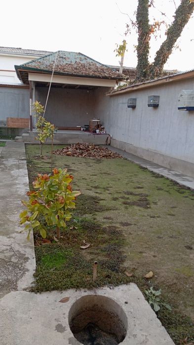 Srochna sotiladi ush qo'ndi 2 sotix