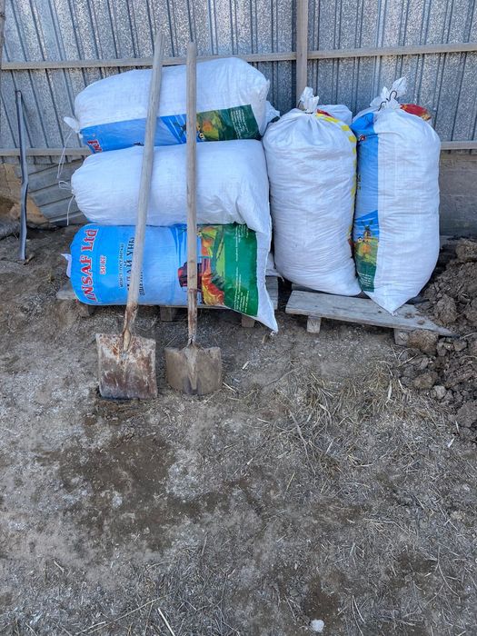 Жылкынын таза кондери сатылады