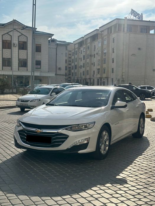 Malibu Premier Full Pozitsya