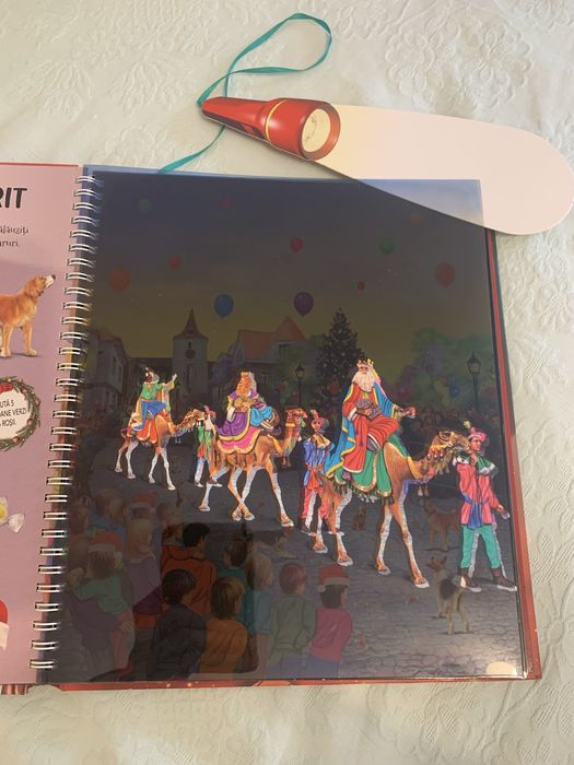 Carte copii,magia craciunului