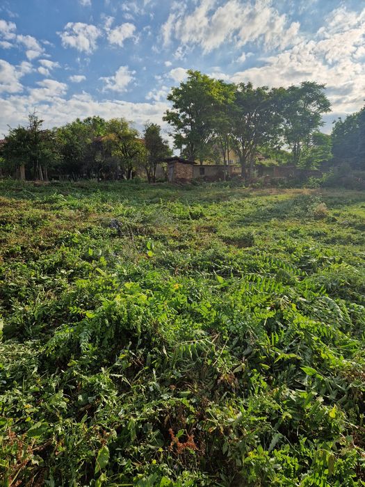 Продава се Парцел в с. Горна Митрополия, Област Плевен - 835 кв.м за 15 €/кв.м - Снимка #4