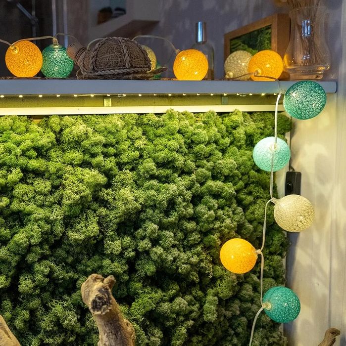 Beculețe LED smart ghirlande cu sfoară din bumbac, 24 becuri