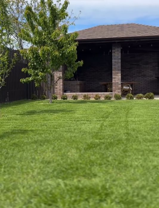 Посев газона в Алматы профессионально