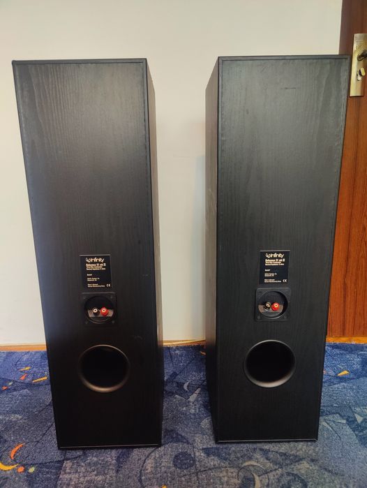 Vand boxe Infinity Reference 51 MKII