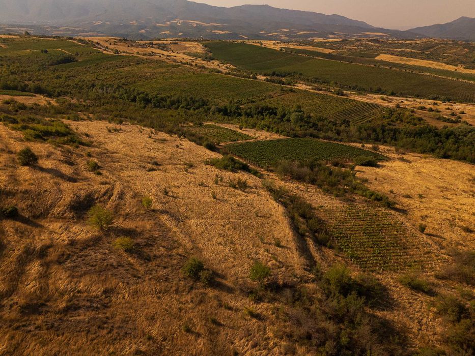 Продава се Парцел в с. Долно Спанчево, Област Благоевград - 4800 кв.м за 40 €/кв.м - Снимка #4