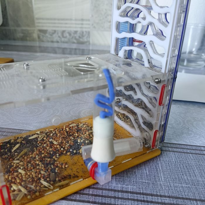 Ферма муравьев  Жнецов