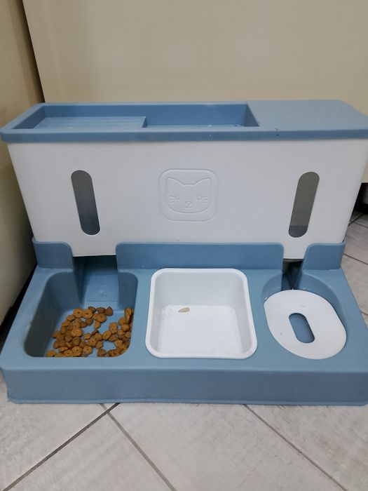 Продам кошку вислоухий