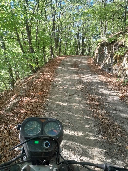 Motocicleta suzuki dr250