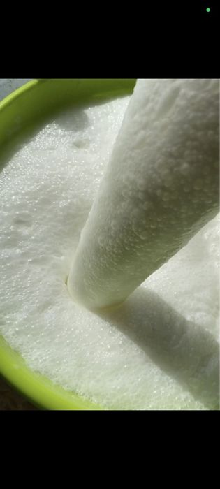 Натуральный Домашний Свежий кымыз шубат.Кумыс. Қымыз. Шұбат. Курт, Құр