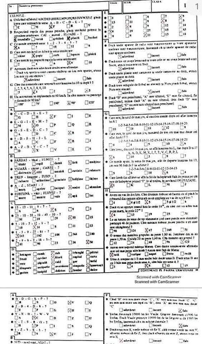Teste psihologice admitere Poliție, Pompieri, jandarmi