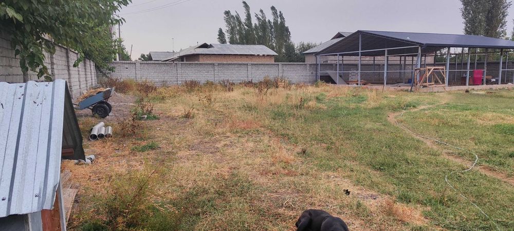 Продам участок в Янг Юль махале