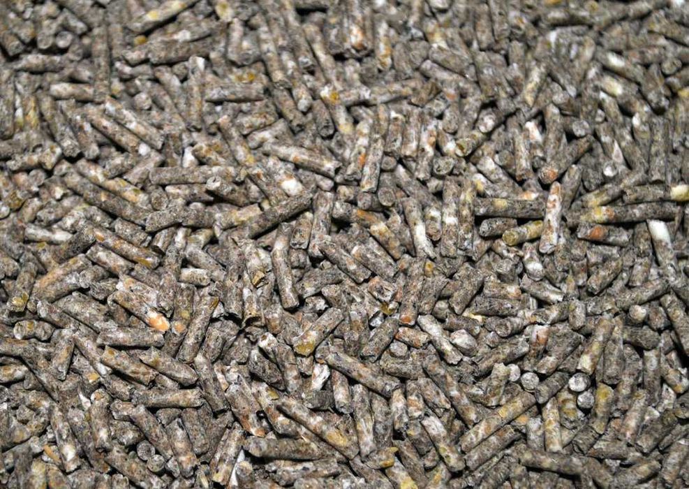 Корм для рыб гранулированный