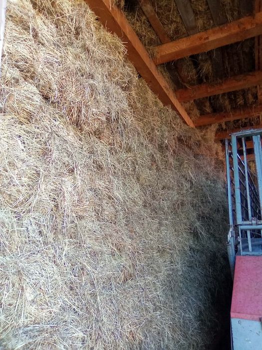 Vând baloti de lucernā, otavā sí fân 20