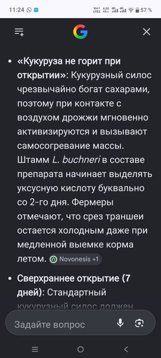 Силос кукурузный