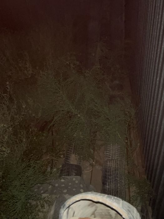 коники на прицеп