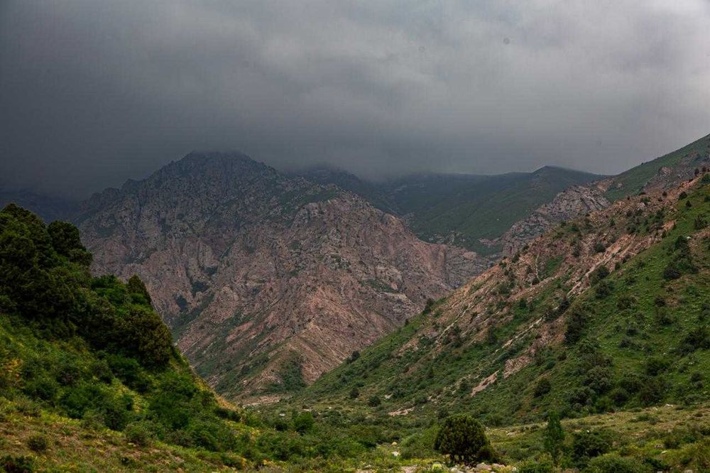 huawei p60 pro 256gb