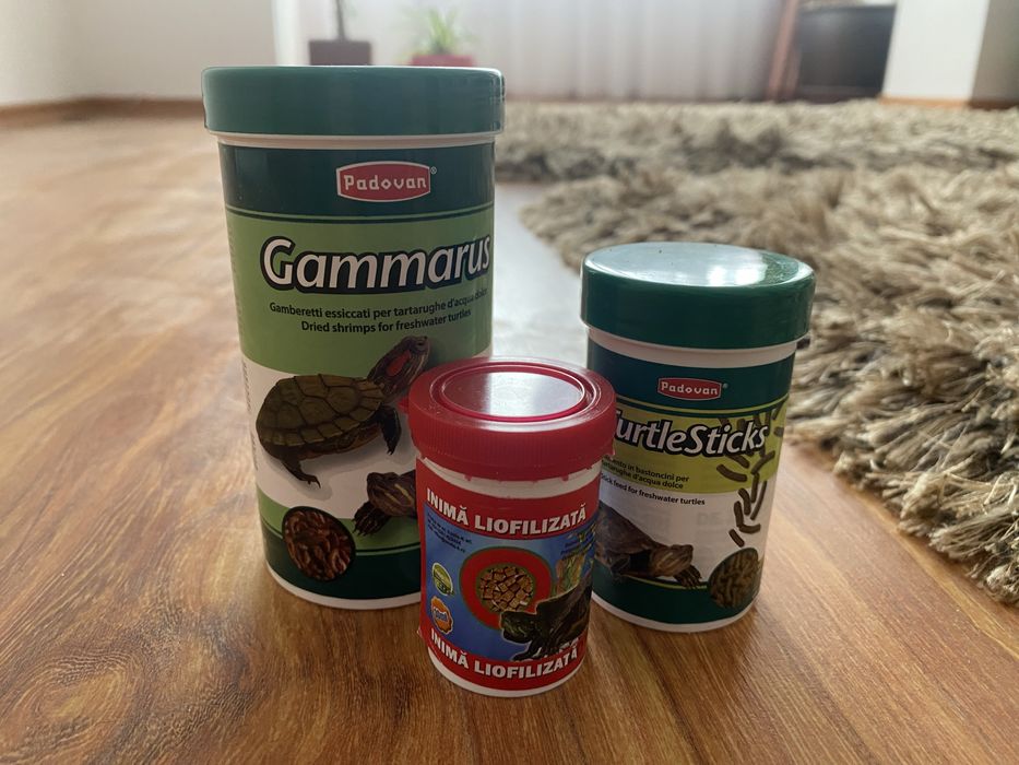 Broasca testoasa cu acvariu