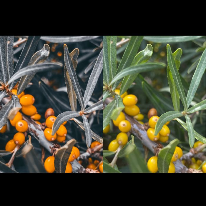 Пресеты для lightroom