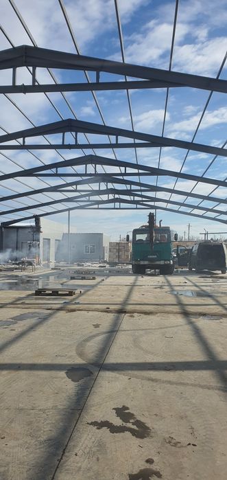 Vand hala metalică 20x55x4