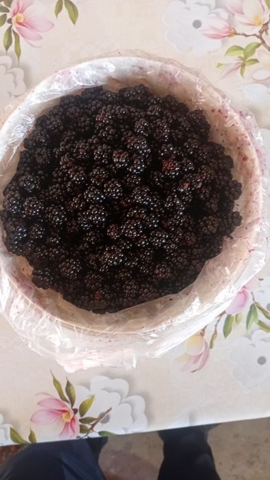 Продаётся свежее ежемалина